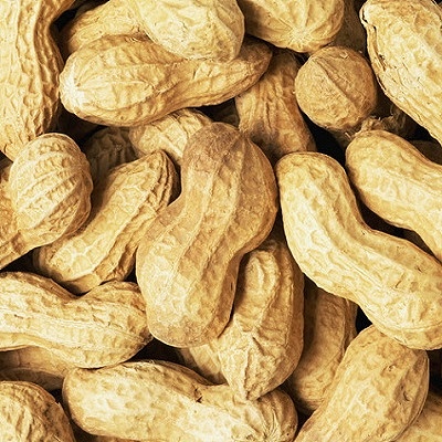 Fresh Peanuts