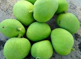 Green Mangoes